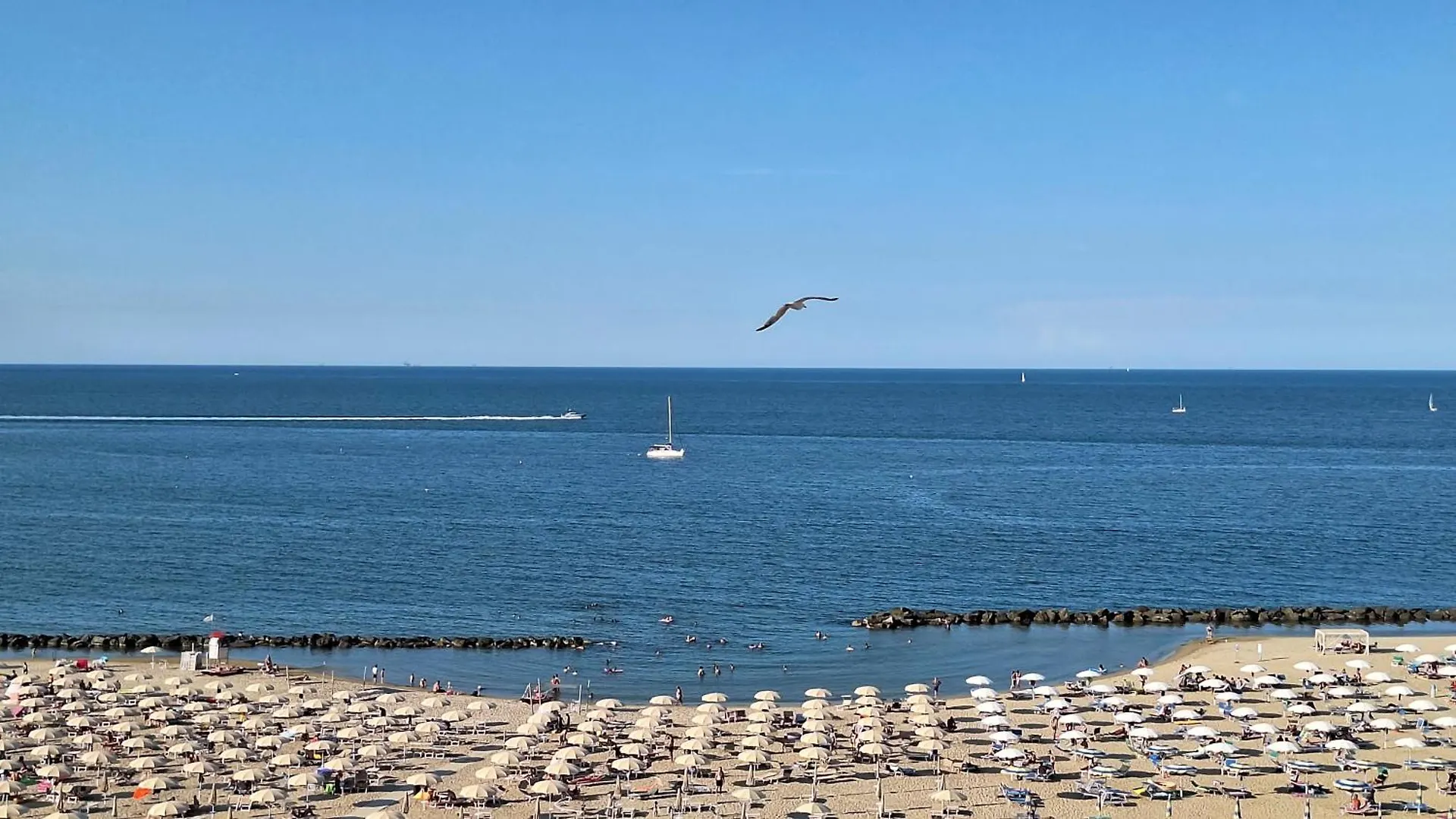 Hotel Harmony Rimini
